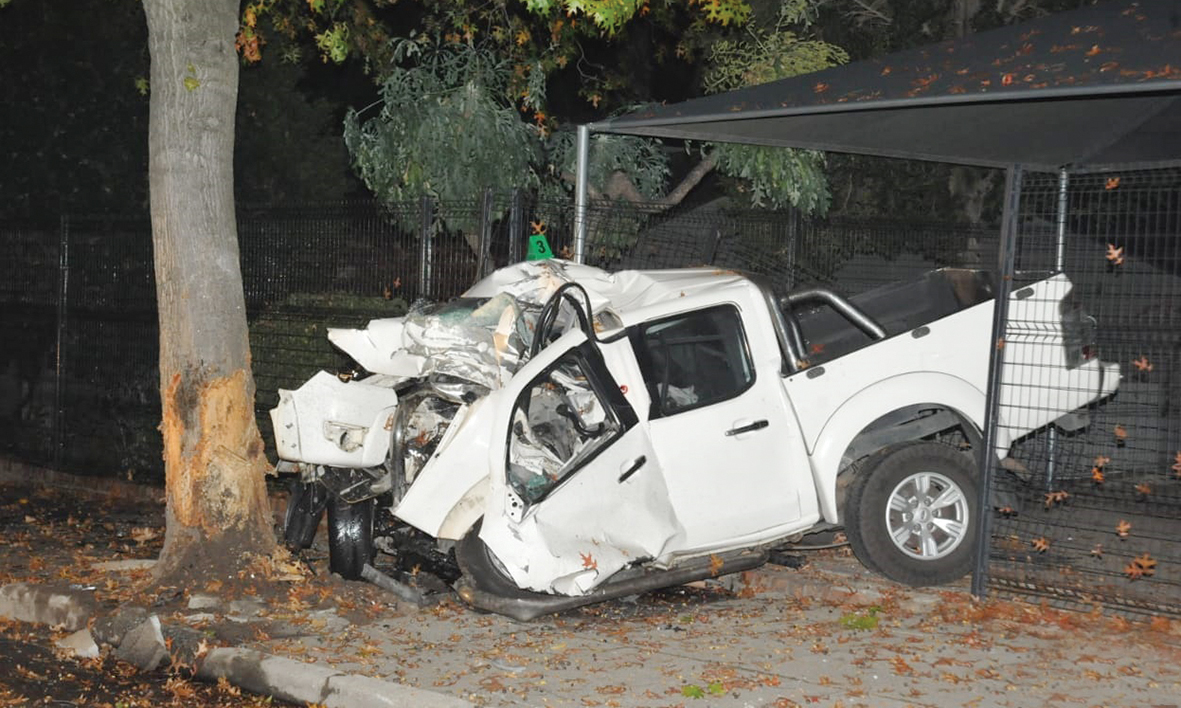 Man (29) sterf toe bakkie boom tref