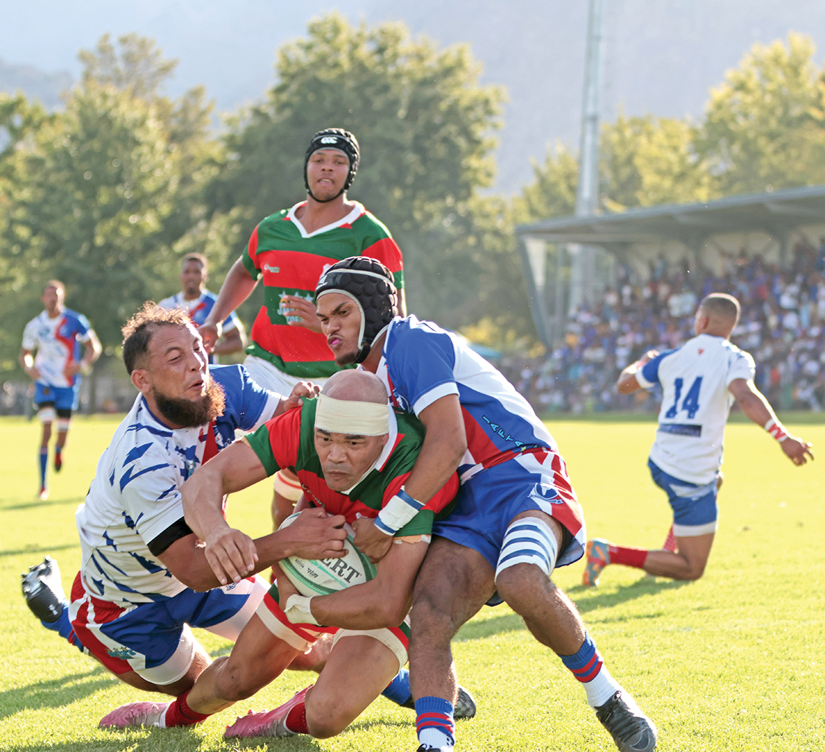 Delicious klop Bella Vista 34-25