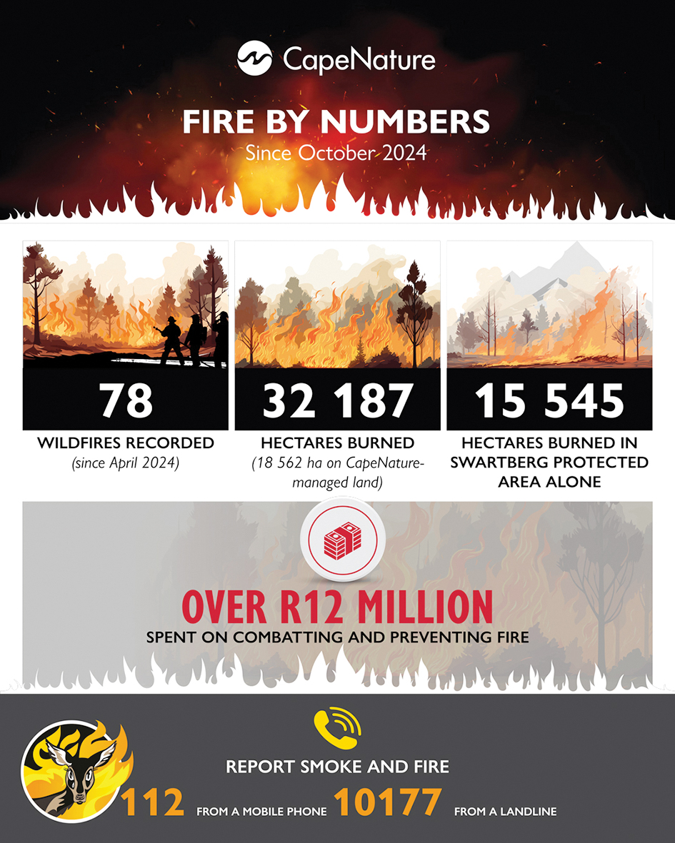 32 187 ha of land burned from October 2024 to the end of February 2025