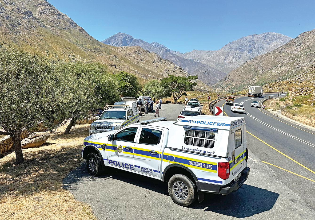 Bolt bestuurder se liggaam in Michellspas gekry