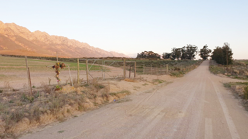 Drie mans kry swaar strawwe na moord op dokter